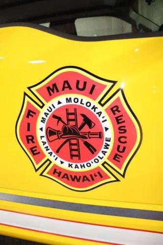 IMG 3095 (1) (1) (1)